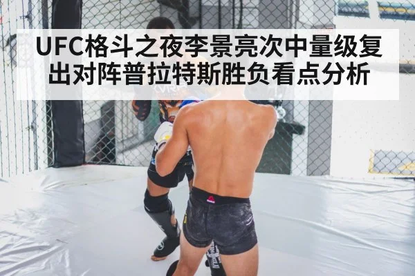 MMA cage grappling - kaiyun